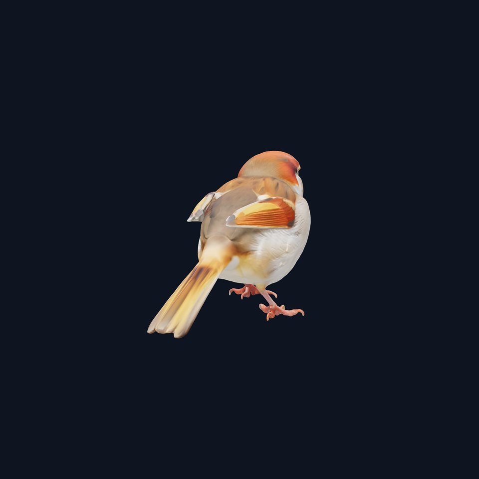 American Tree Sparrow with Rufous Cap 3D Model